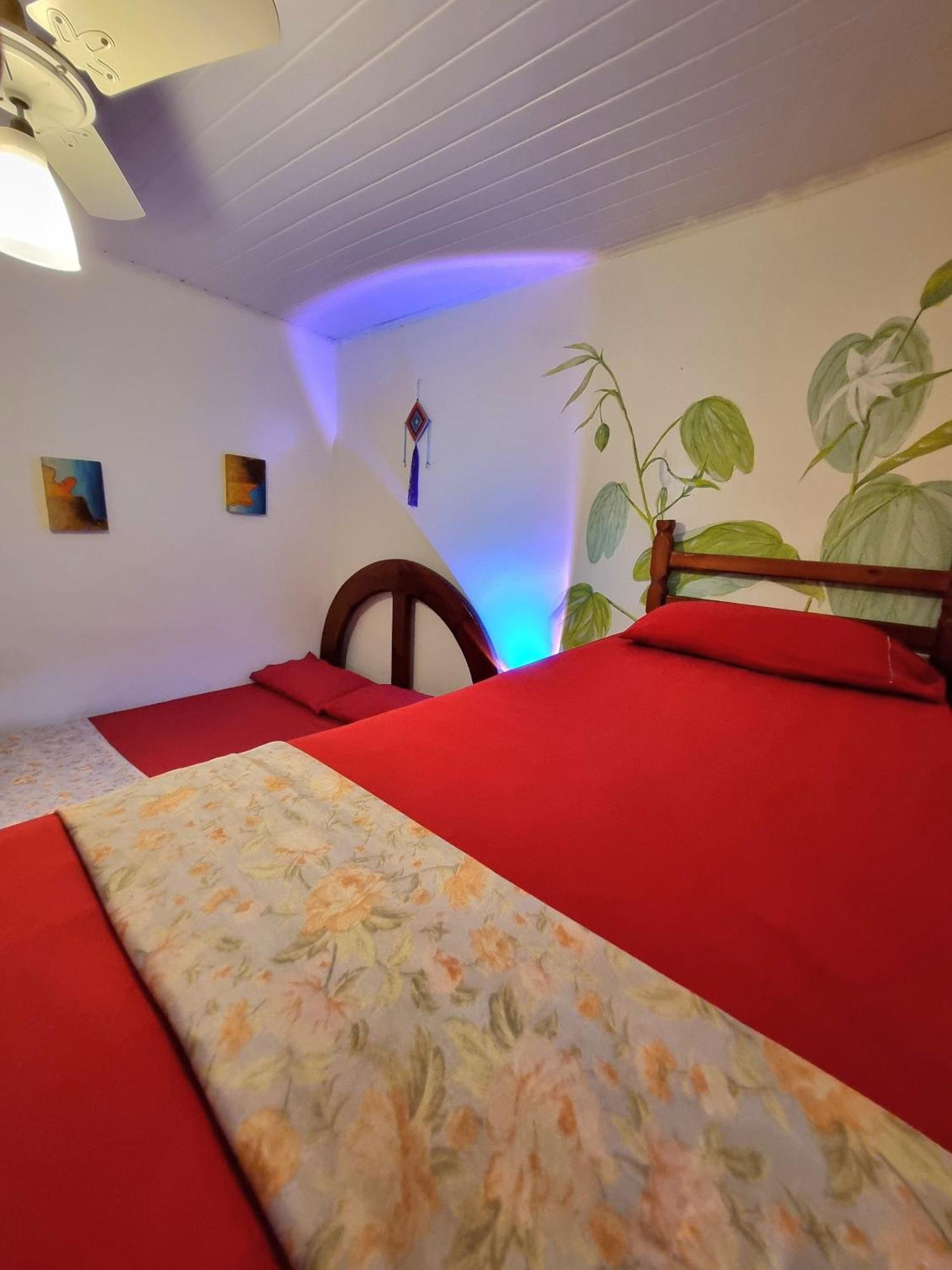 Jurema Hostel Itacaré Dış mekan fotoğraf